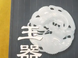 �������ר����ѵ����