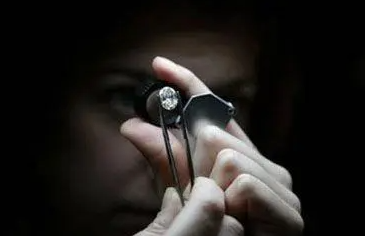 �鱦������ѵ����