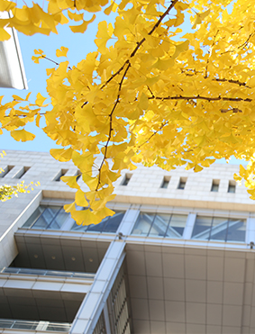 ����ƷͶ���ܲ����ް��Ƽ�