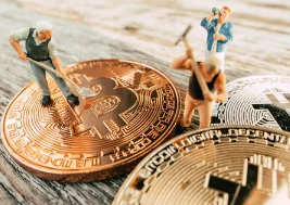 �廪��ѧ�����ܲð���Σ�