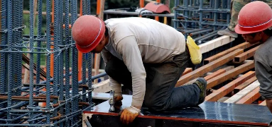 �廪��ѧ������ҵ�ܲð����