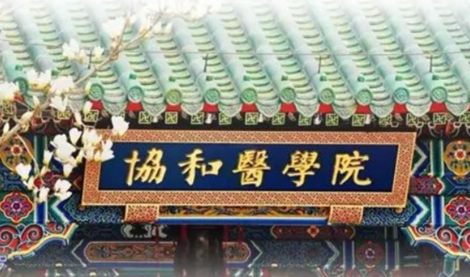 2026걱ЭҽԺԺְҵѵƼ