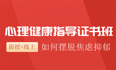 心理健康指导培训计划