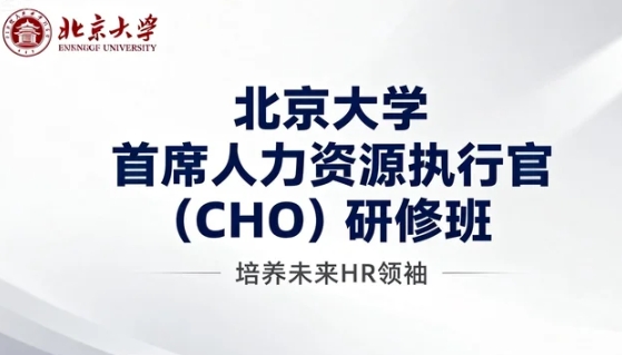 2026����cho���������Ȩ�����������